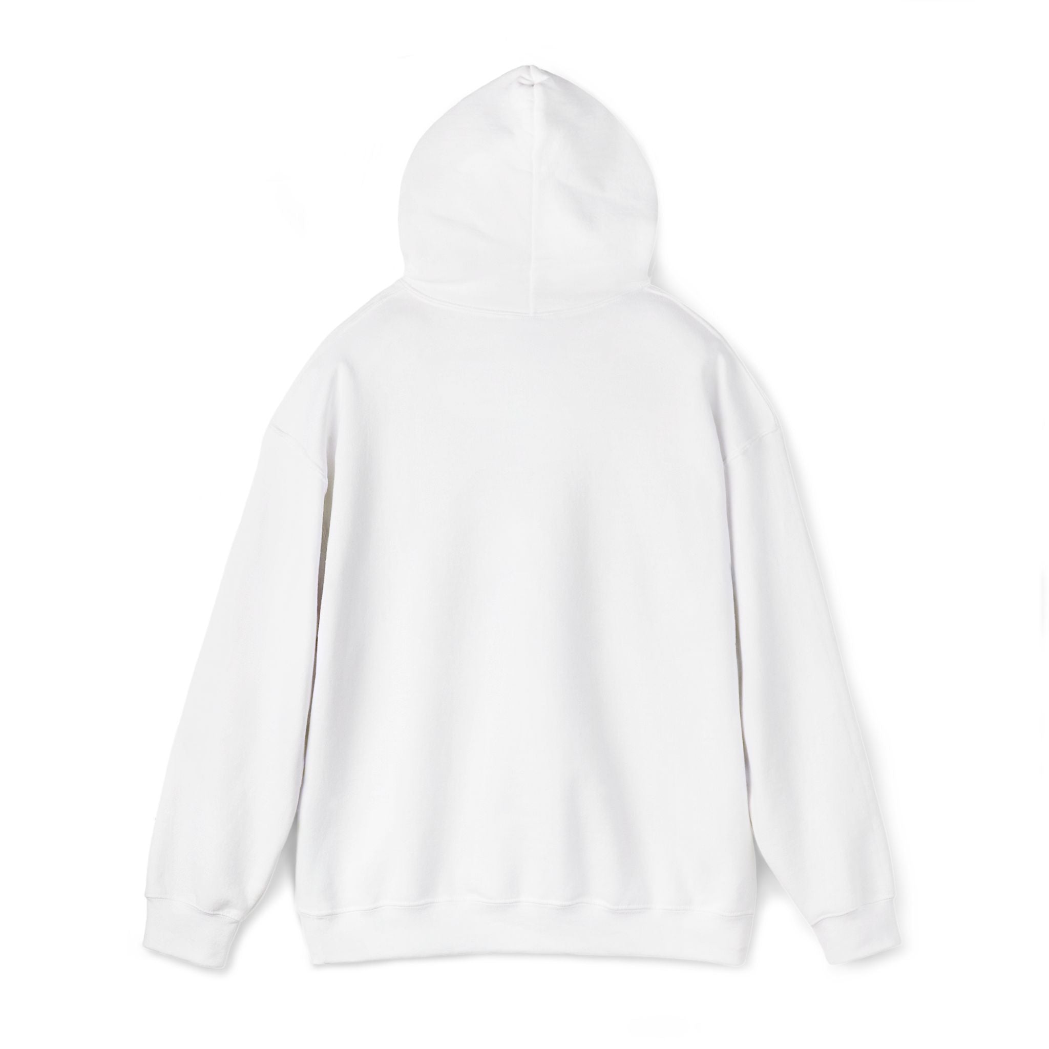 SSH BASICS - EMBROIDERED HOODIE