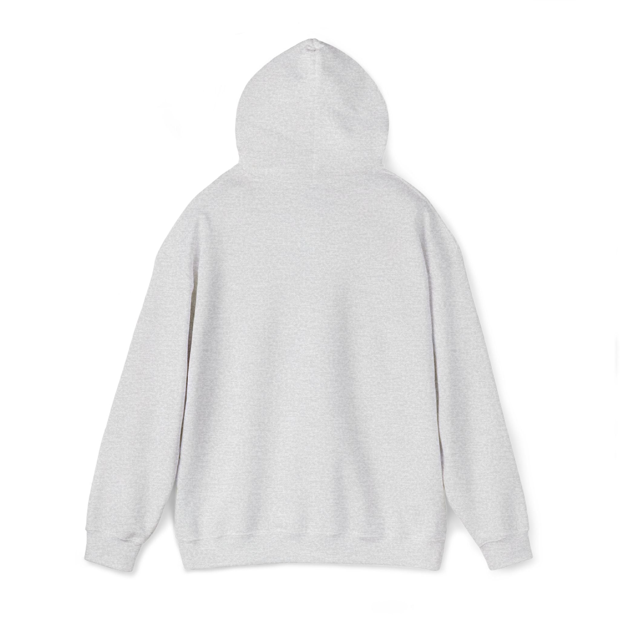 SSH BASICS - EMBROIDERED HOODIE